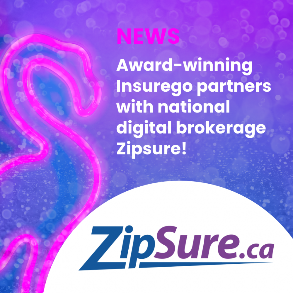 Awardwinning Ottawa startup Insurego partners with